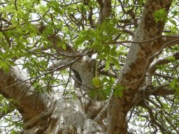 264231_10150255126509901_812411_n